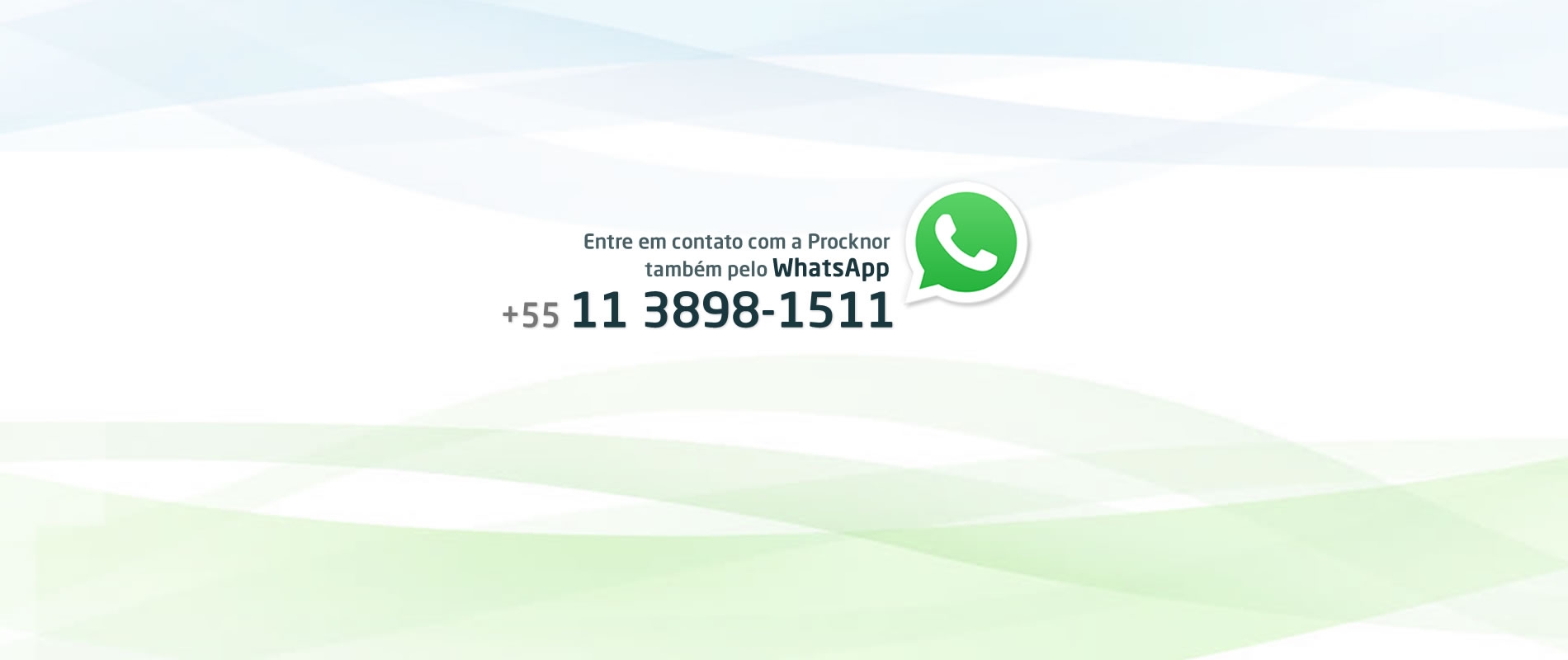 WhatsApp Procknor